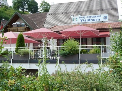 Photo: Waldhorn